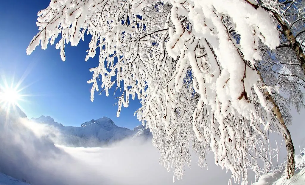 Hotel Les Flocons Les Deux Alpes